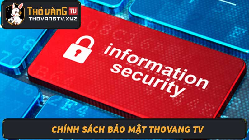 Chính sách bảo mật Thovangtv  Luôn đảm bảo an toàn cho bạn