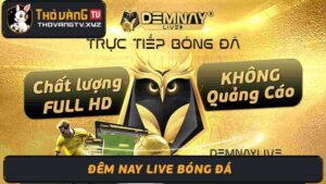 DemNayLive - Đêm nay live trang xem bóng đá trực tuyến số 1