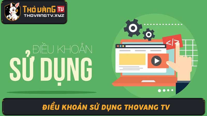 Điều Khoản Sử Dụng Thovangtv Tránh Rủi Ro Khi Tham Gia Thovang Tv