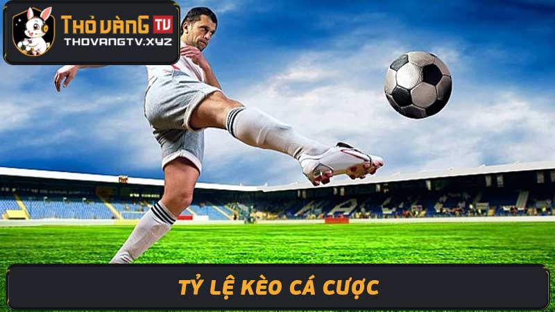 Tỷ Lệ Kèo Cá Cược EPL, Laliga, Ty Le Keo Ca Cuoc Hôm Nay