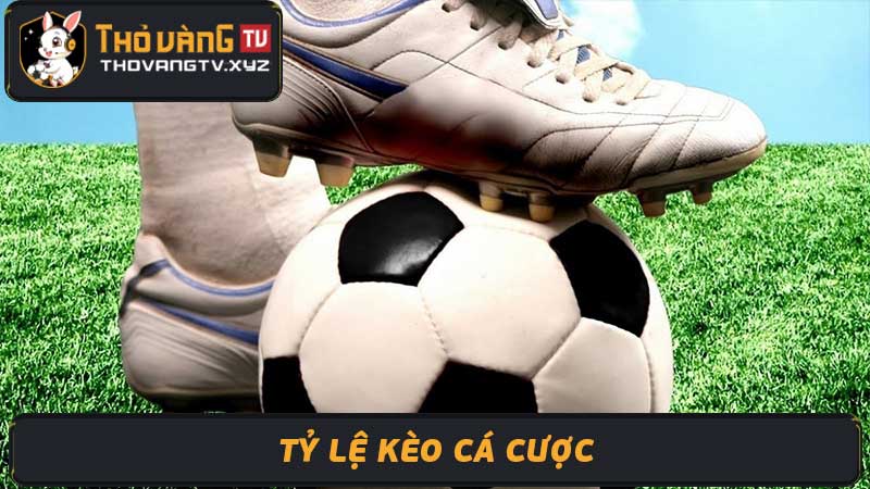 Tỷ Lệ Kèo Cá Cược EPL, Laliga, Ty Le Keo Ca Cuoc Hôm Nay